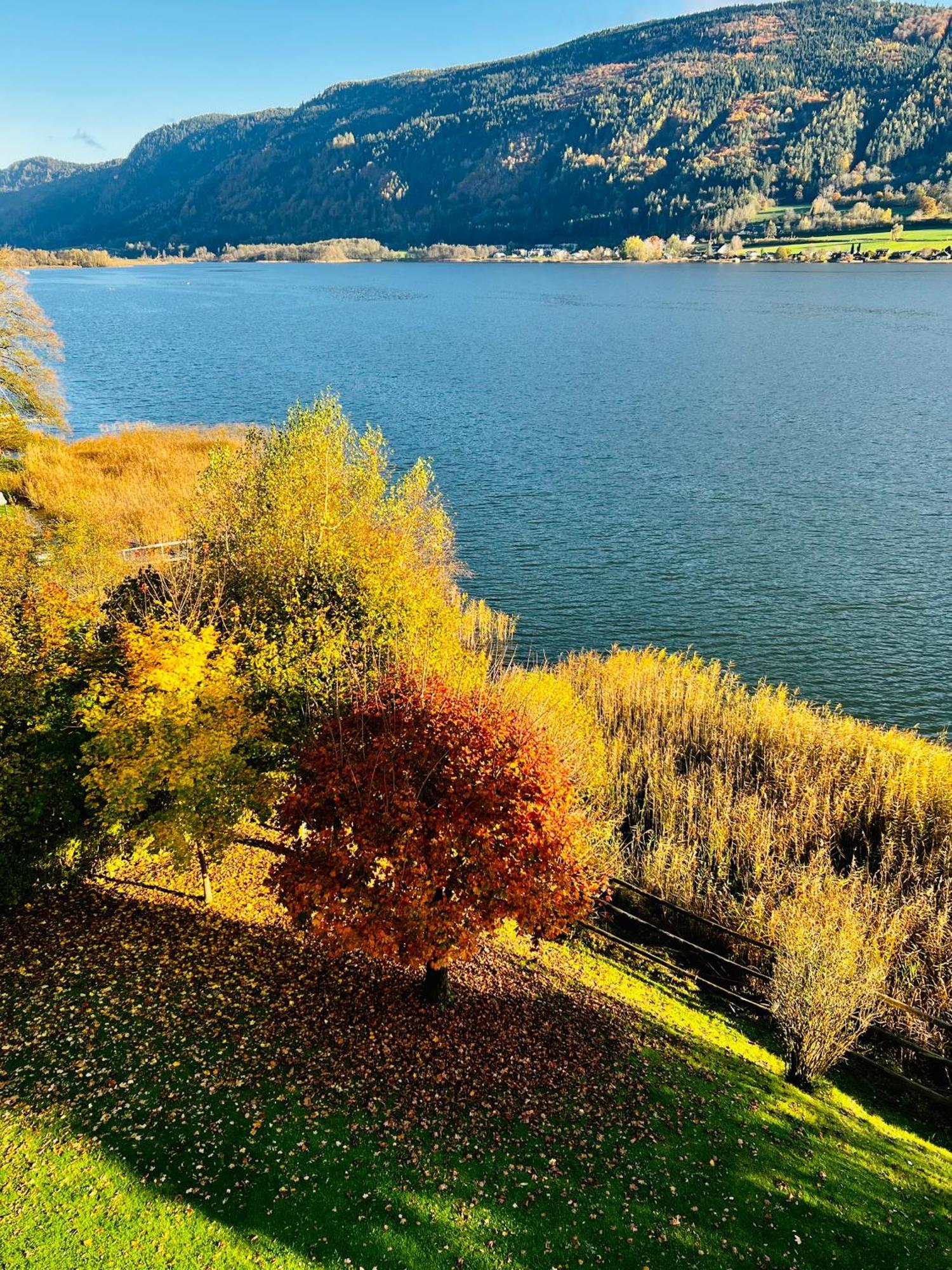 See-apartment Aura Am Fusse Der Gerlitzen Alpe Und Ufer Des Ossiacher Sees - Mit Privatem Seezugang & Hallenbad Steindorf am Ossiacher See